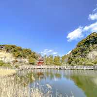 本牧市民公園内の梅と上海横浜友好園