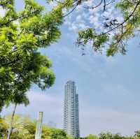 超大綠地公園🟢設計壯觀場面📍高雄中央公園站