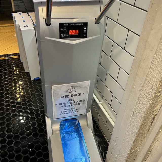 香港最大貓cafe 香港最大貓cafe