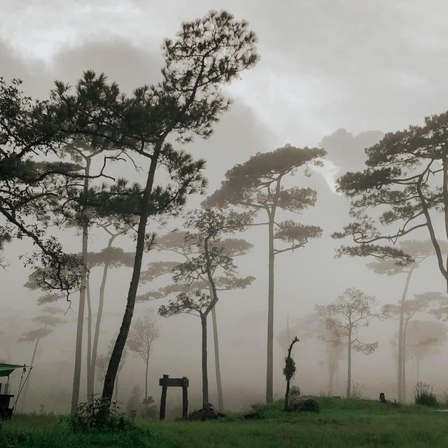 เดินป่าหน้าฝน - ภูสอยดาว 🌲🏞🌌🌫💫