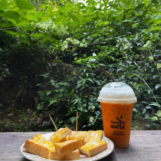 คาเฟ่ธรรมชาติ “ที่นี่บางเบาะ ป่าตอง”