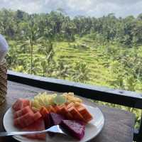 Gorgeous Ricefields(Tegalalang)