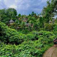 Explore out the Campuhan Ridge Walk