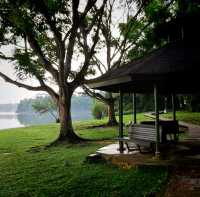 Lower Peirce Reservoir Park