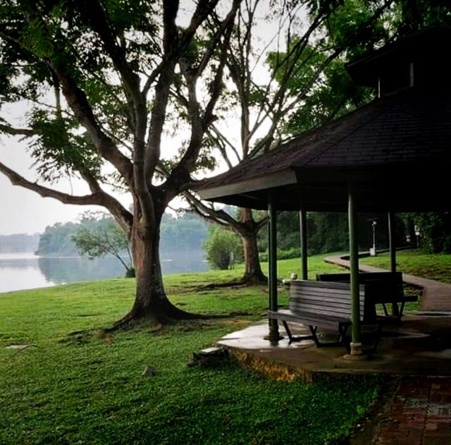 Lower Peirce Reservoir Park