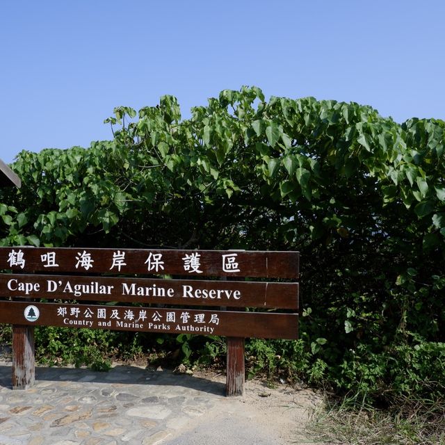 尋找天涯海角的燈塔 