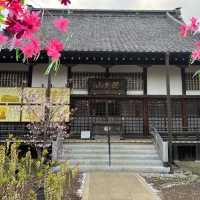 เทศกาลซากุระShimizu Park🌸🌸🌸