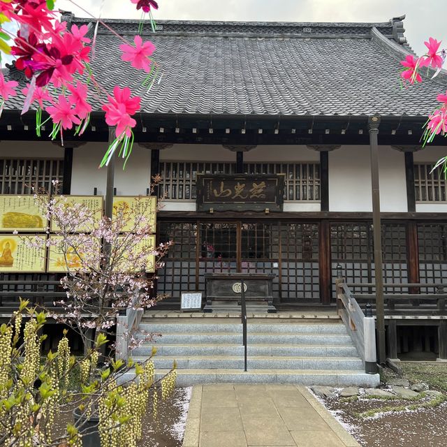 เทศกาลซากุระShimizu Park🌸🌸🌸