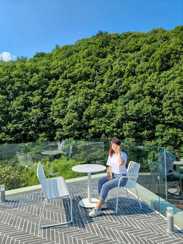 단풍시즌이면 더 예쁠 포레스트뷰, 양산카페 아미드포레🍁🍂
