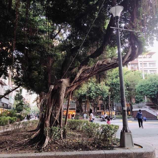 🌳可愛又熱鬧的Yongkang Park 永康公園🌳
