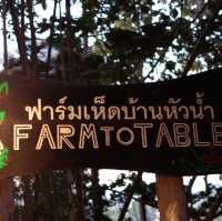 ฟาร์มเห็ดบ้านห้วยน้ำ .. ( น่าน )