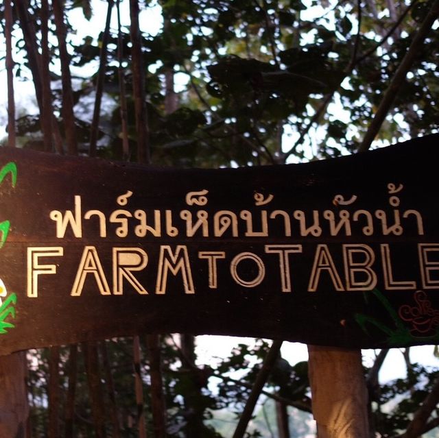 ฟาร์มเห็ดบ้านห้วยน้ำ .. ( น่าน )