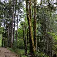 West Elwha Trail trailhead