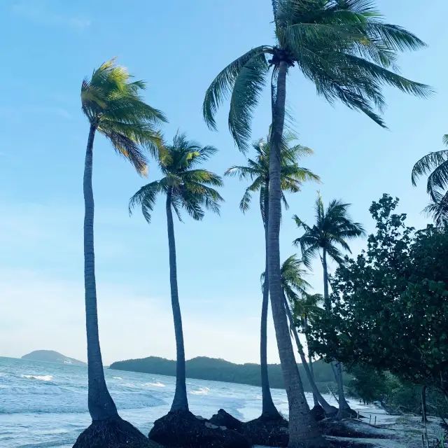 magical and mysterious beach