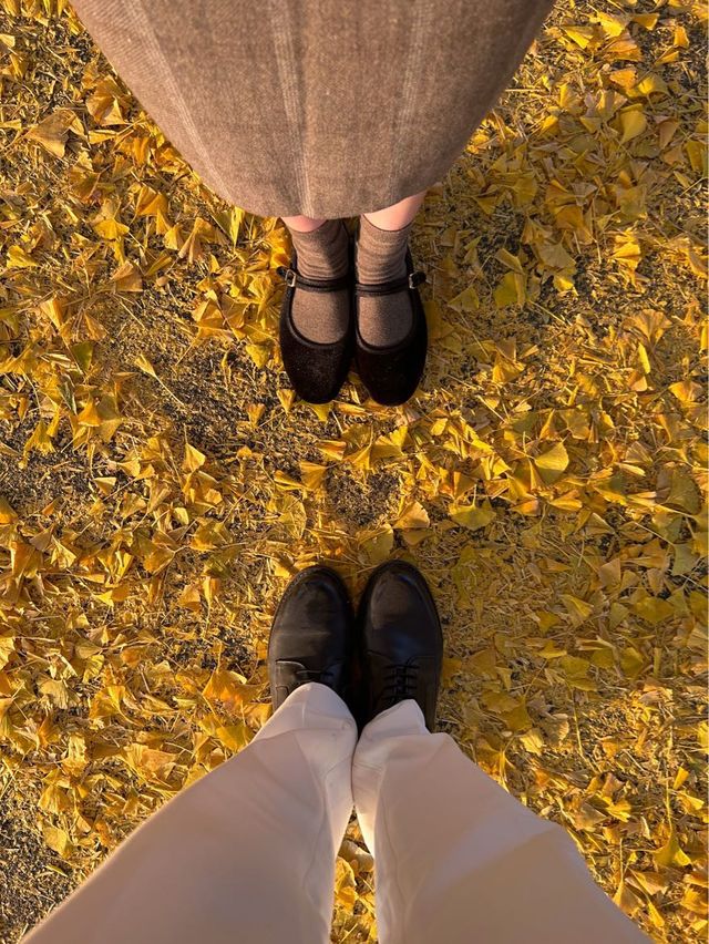 충남 단풍 명소 아산 은행 나무길🍁🍂