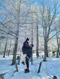 차타고 해발1330m 만항재를 즐기는 눈꽃여행❄️🤍