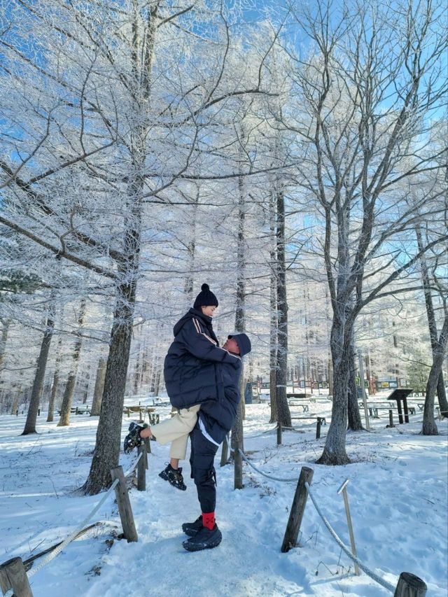 차타고 해발1330m 만항재를 즐기는 눈꽃여행❄️🤍