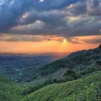 PARAGLIDING KEMUNING