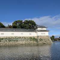 滋賀県　彦根城の紅葉