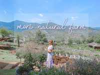 “Mori Natural Farm”