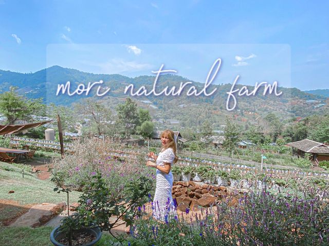 “Mori Natural Farm”