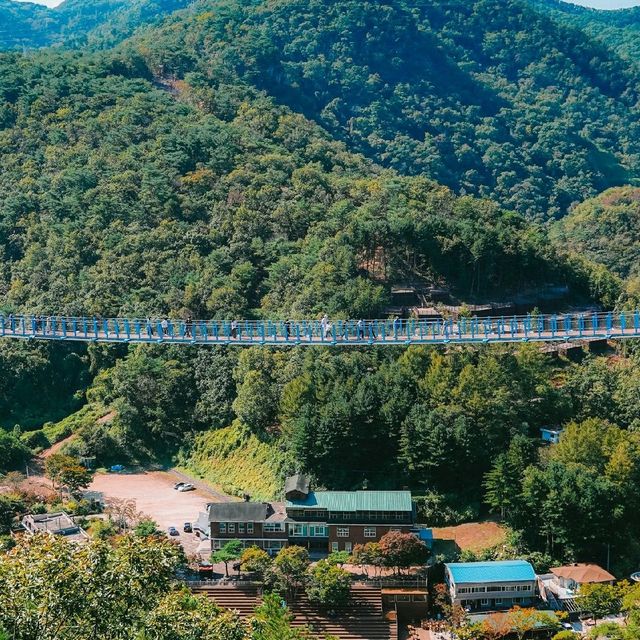 한걸음한걸음이 아찔한 소금산 출렁다리