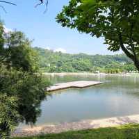 小白鷺餐廳