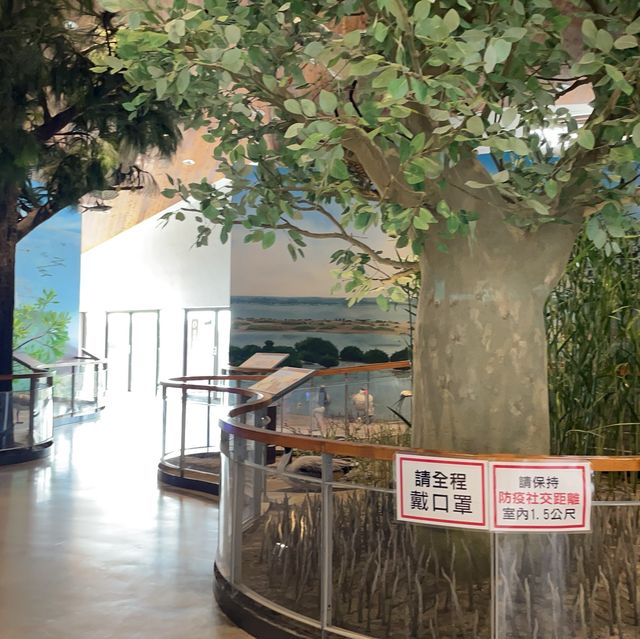 南部生態園區🏞️白色的浪漫世界！自然生態參觀、導覽，旅遊好去處！