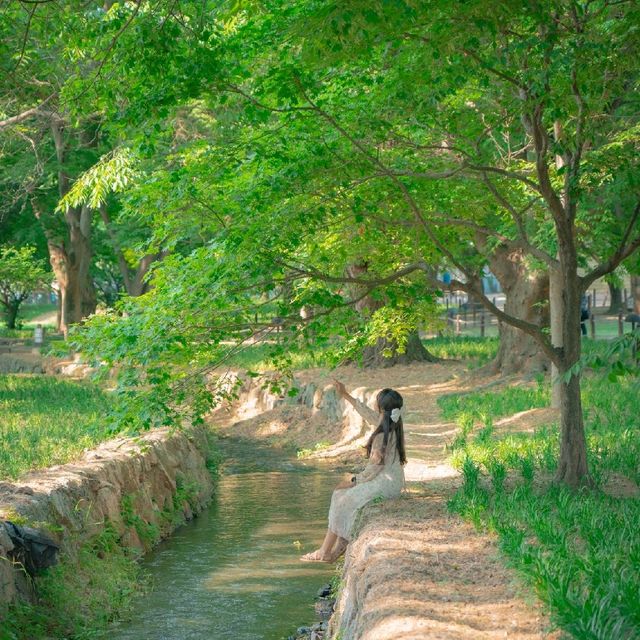 🌿경주가 가진 비밀의숲 [경주, 계림]