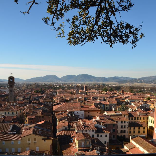意大利 Lucca🔶盧卡