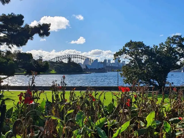 시드니 뷰 명당에 위치한 수목원, 로열 보태닉 가든스🌳