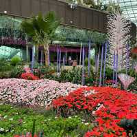 The World Tallest Indoor Waterfall