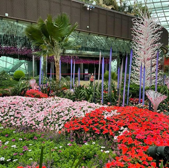 The World Tallest Indoor Waterfall