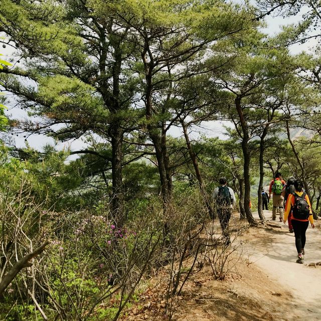 풀내음이 뿜뿜한 북한산 들레길 걷기🫶🍀
