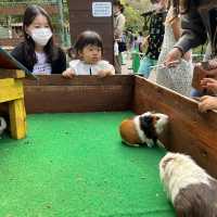 富士サファリパーク、リアル猛獣見れるぞ