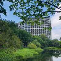 綠意盎然🌳🌿松山文創園區 Songshan Cultural and Creative Park