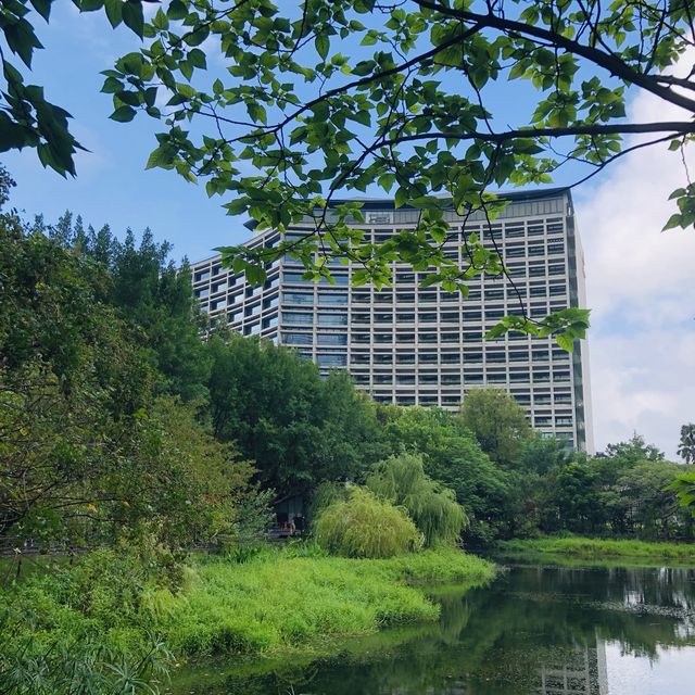 綠意盎然🌳🌿松山文創園區 Songshan Cultural and Creative Park