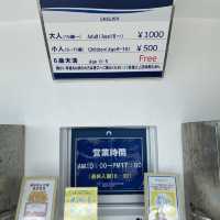 Cây cầu Kouri tại Okinawa