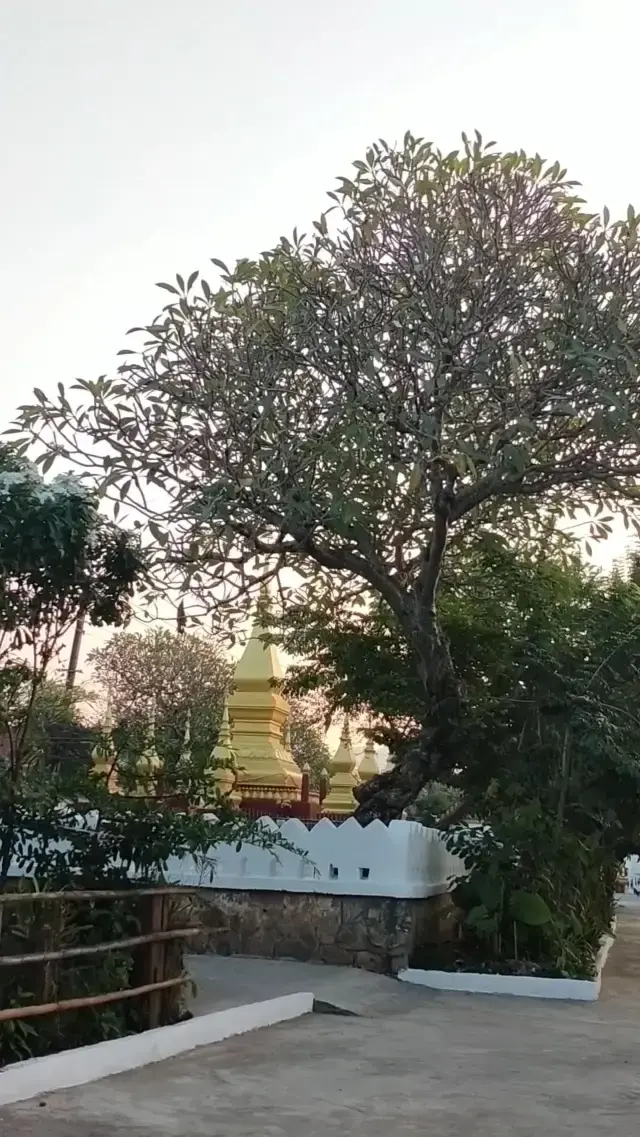 Wat Manorom 