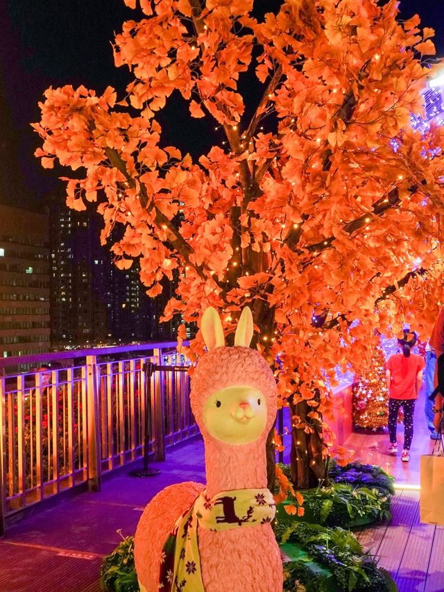 【與草泥馬在浪漫燈海見面】 【與草泥馬在浪漫燈海見面】