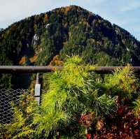 The Kurobe Dam On The Kurobe River