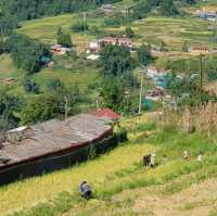 Cat Cat Village At Fansipan