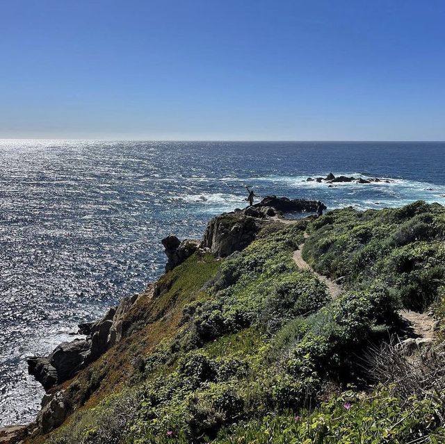 Pine Ridge Trail Big Sur