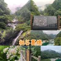 超令超有架勢祖谷蔓橋🫶🏻日本🇯🇵仙境