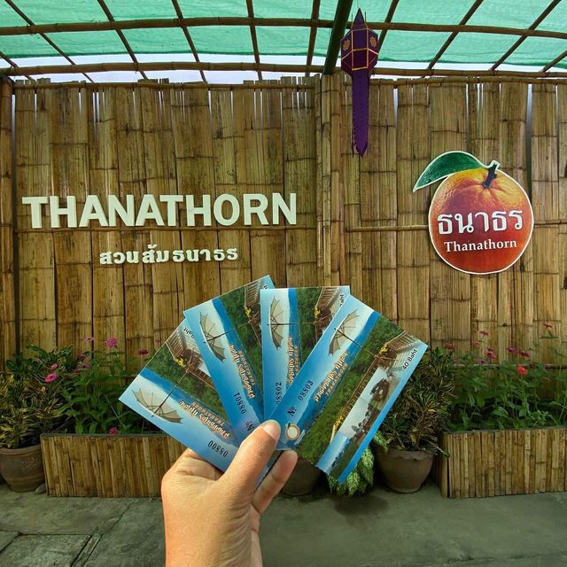 สวนส้มธนาธร จ.เชียงใหม่ สวนส้มธนาธร จ.เชียงใหม่