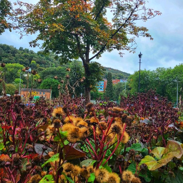 Beautiful Welsh Park