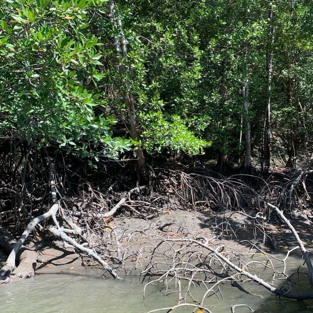 Kilim geoforest park sea eagles 