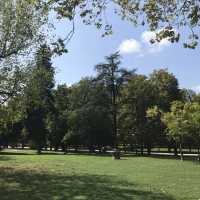 Parco Ducale & walk to Palazzo della Pilotta