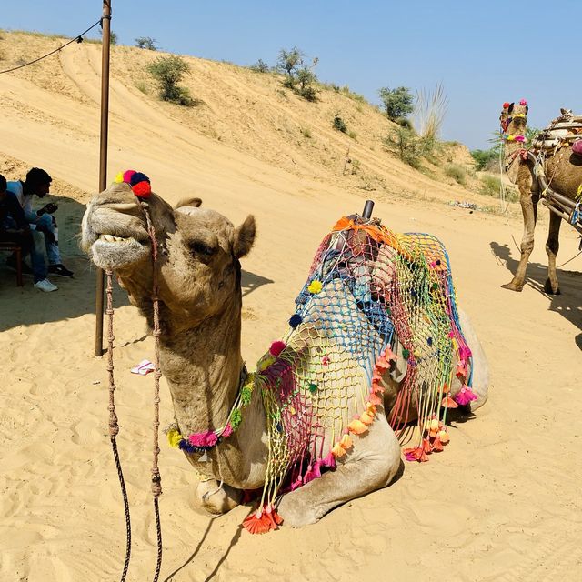 Pushkar 🏜, Ajmer, Rajasthan - India Travel