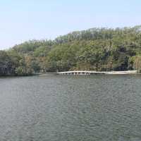 Fairy Lake, Xianhu Botanical Park